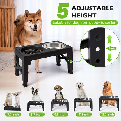 Dog Bowl Stand with 3 Bowls